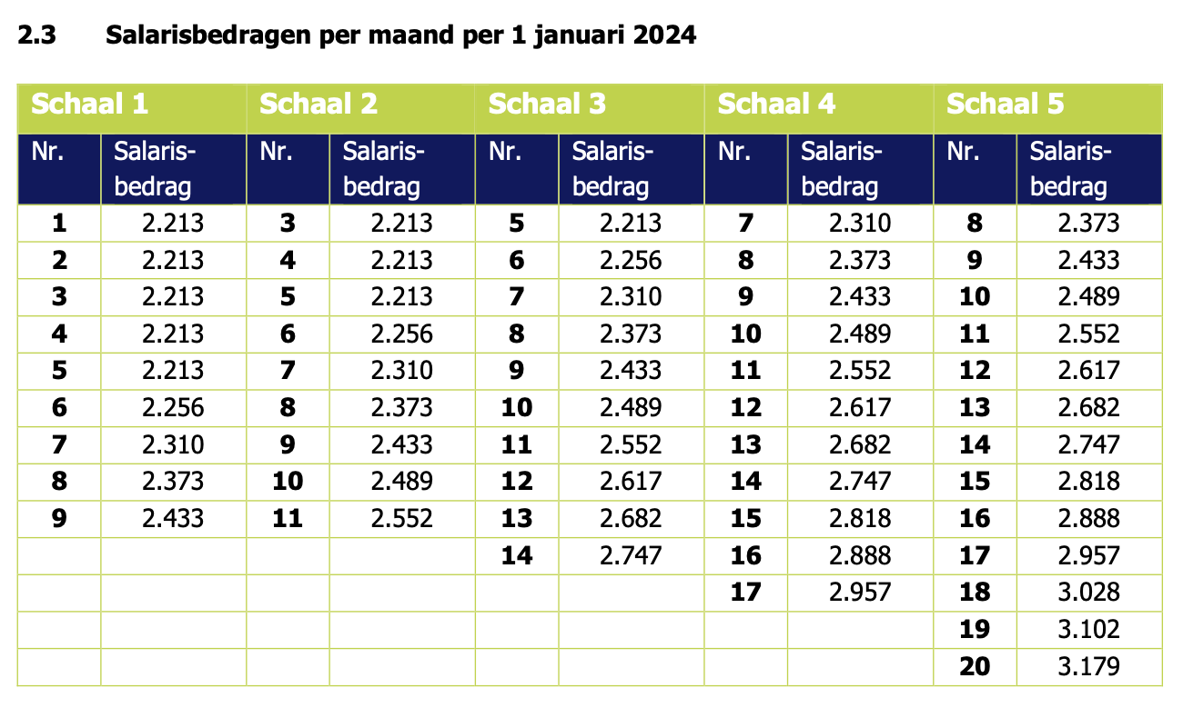 Voorbeeld salarisschalen 2024 cao