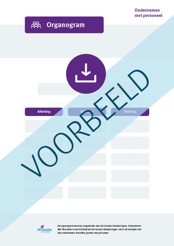 Organogram voorbeeld organogram maken