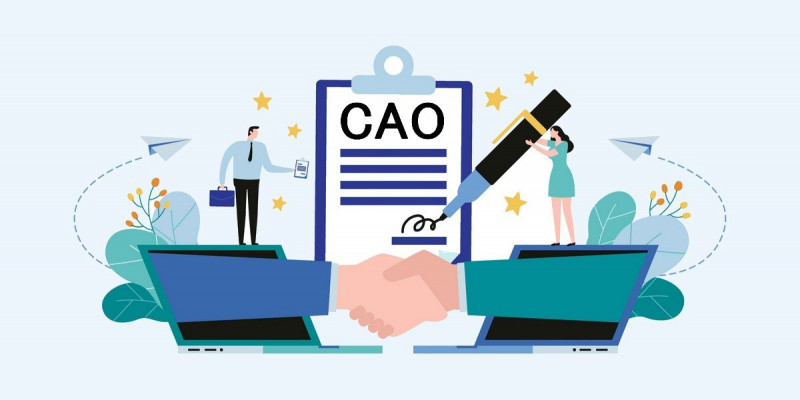 Cao architecten ICT Schoonmaak Accountants Advocaten Reclamebureaus 