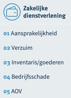 top 5 verzekeringen zakelijke dienstverlening
